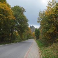 W drodze do Jaworek, Tadeusz Walkowicz