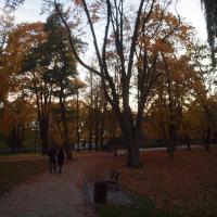 Park Staszica, Tadeusz Walkowicz