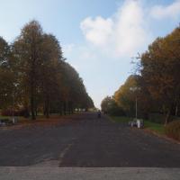 Promenada Niemena, Tadeusz Walkowicz