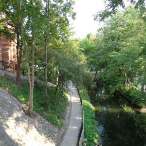 Rzeka Łyna