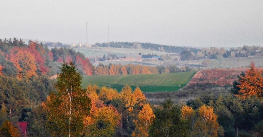 III cz. jurajski październik - bajka o Morsku i Skarżycach, czyli wieczorne światło wieczorne mgły i trochę magii ;) - zdjęcie
