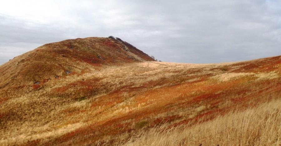 Bieszczady nieplanowane III i IV dzień: Smerek, Połonina Wetlińska i Solina - zdjęcie