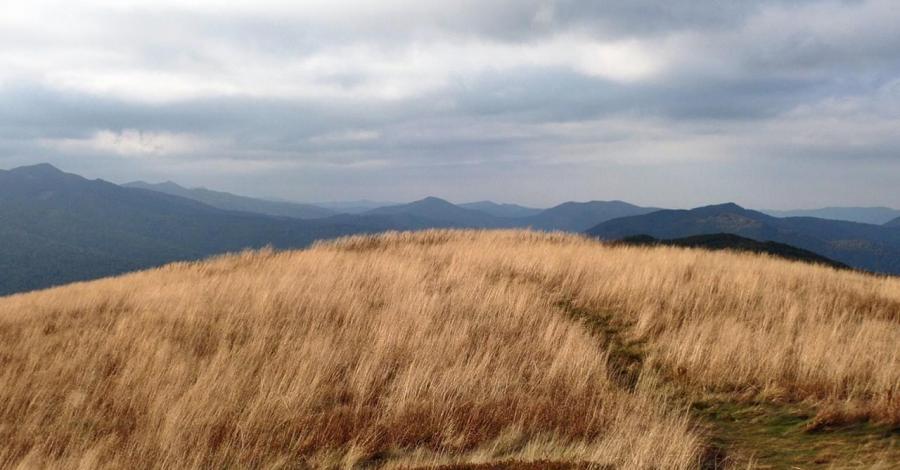 Bieszczady nieplanowane I dzień: Tarnica i Bukowe Berdo - zdjęcie