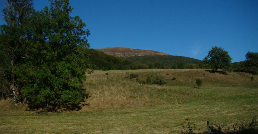Bieszczady i źródła Sanu - zdjęcie