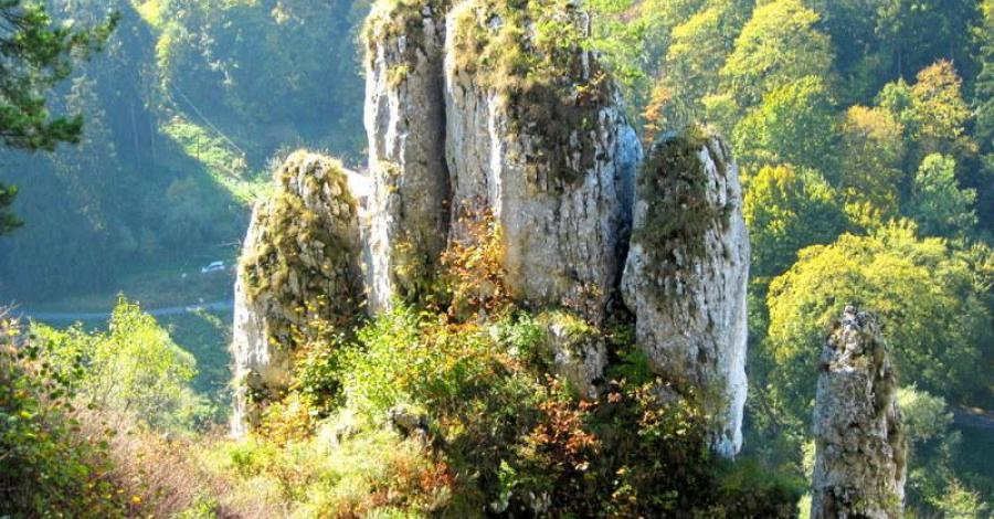 Jura: Ojców – Dolina Prądnika (góra Koronna, wzgórze Okopy) - zdjęcie