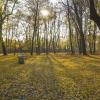 Park Górnik Siemianowice Śląskie