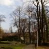 , szylana
