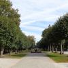 Park Zdrojowy, Danusia
