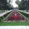 Partery Hellwiga, Danusia
