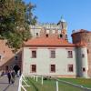 Zamek krzyżacki w Golubiu-Dobrzyniu, Danusia