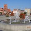 Rynek w Golubiu-Dobrzyniu, Danusia