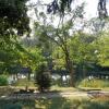 Park w Szafarni, Danusia