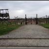 Birkenau, Marcin_Henioo