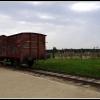 Birkenau, Marcin_Henioo