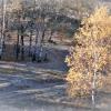 panoramka w dół, Magdalena