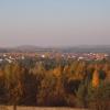 Olsztyn, Tadeusz Walkowicz