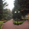 Teraz prywatny, Tadeusz Walkowicz
