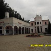 , violus
