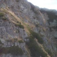 , mokunka