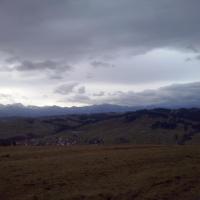 , mokunka