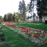 Partery Hellwiga, Danusia