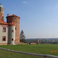 Zamek krzyżacki w Golubiu-Dobrzyniu, Danusia