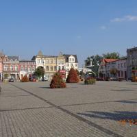 Rynek w Golubiu-Dobrzyniu, Danusia