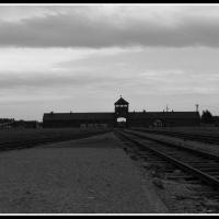 Birkenau, Marcin_Henioo