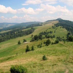 Durbaszka w Pieninach