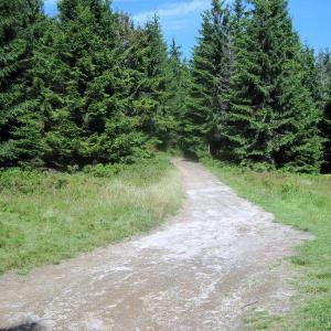 Wielka Przehyba