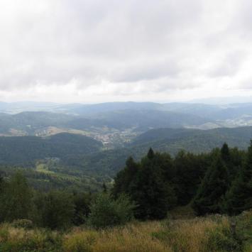 Szczawnik - Beskid Sądecki - zdjęcie