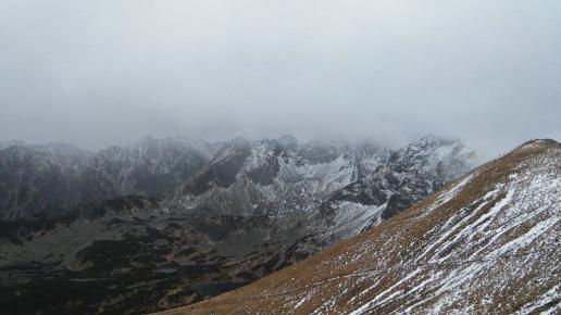 , mokunka