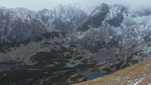 , mokunka