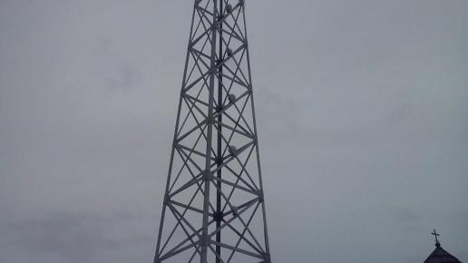 , mokunka