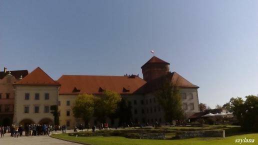 , szylana