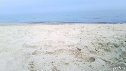 , szylana