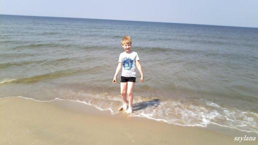 , szylana