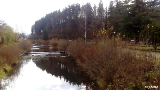 , szylana