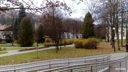 Park w Wiśle, szylana
