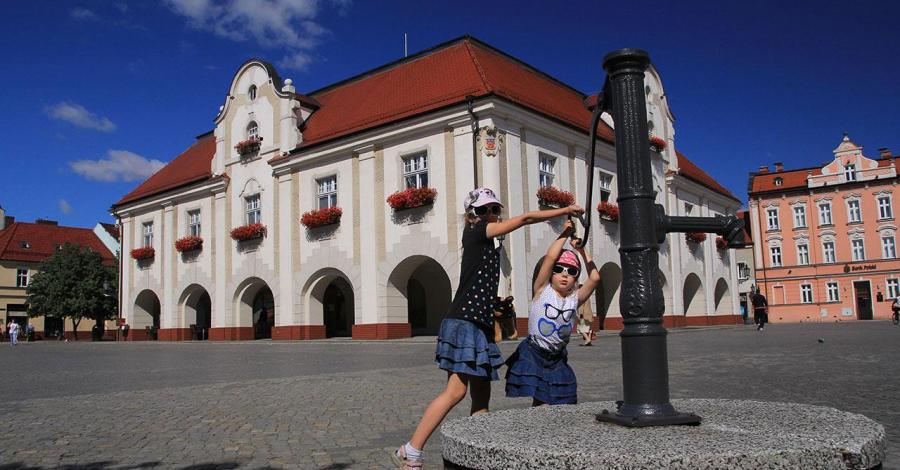 Jarocin i pałac w Tarcach - zdjęcie