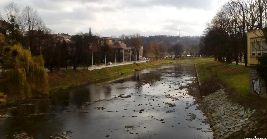 Jesienna wycieczka po Cieszynie - zdjęcie