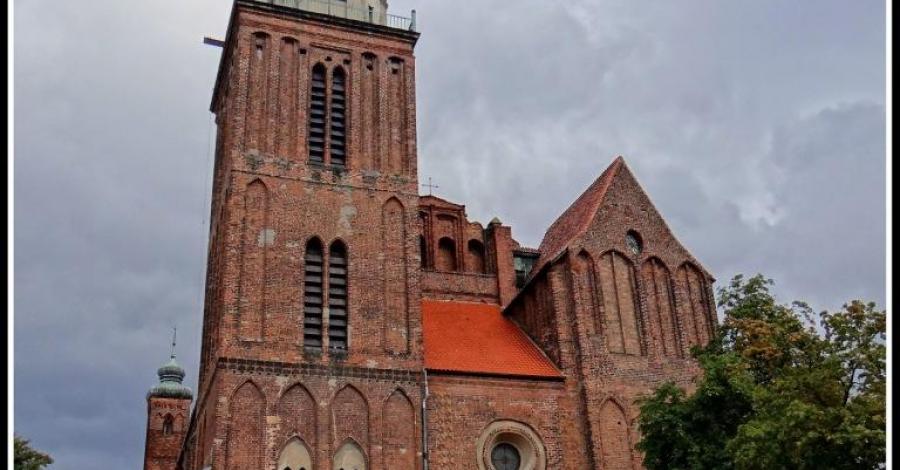 Co ma piernik do wiatraka, czyli co mają grzyby do kubka i czapraka. - zdjęcie