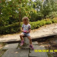 , violus