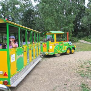 Dinobus w Zatorze