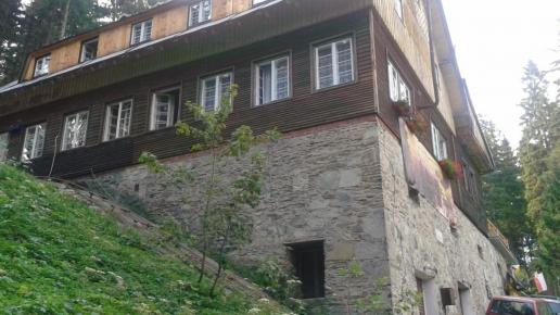 , violus
