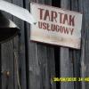 , violus