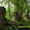 w rezerwacie, violus