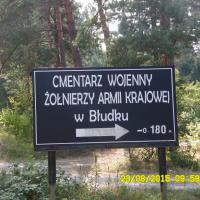, violus