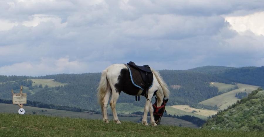 Wakacje 2015 - II dzień (Niedzica - Szczawnica - Palenica) - zdjęcie
