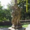 , violus